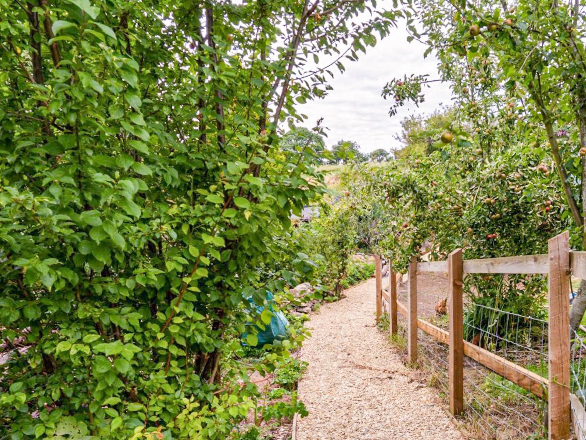Fig Tree Shepherds Hut ブリッドポート エクステリア 写真